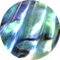 Abalone