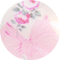 Pink Mint Rosa Beaux Illusion