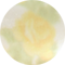 Sun Glow Blooming Heirloom Illusion