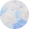 Blue Whisper Everblooming Rosettes