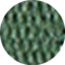 Green Polyester