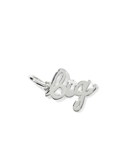 Big Sterling Silver Charm 