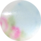 Pastel Blue Rosa Beaux Illusion