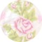Marie Pink Blooming Heirloom Illusion