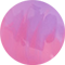 Dusk Ombre