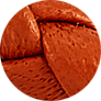 Dark Orange Leather
