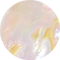 Iridescent Abalone
