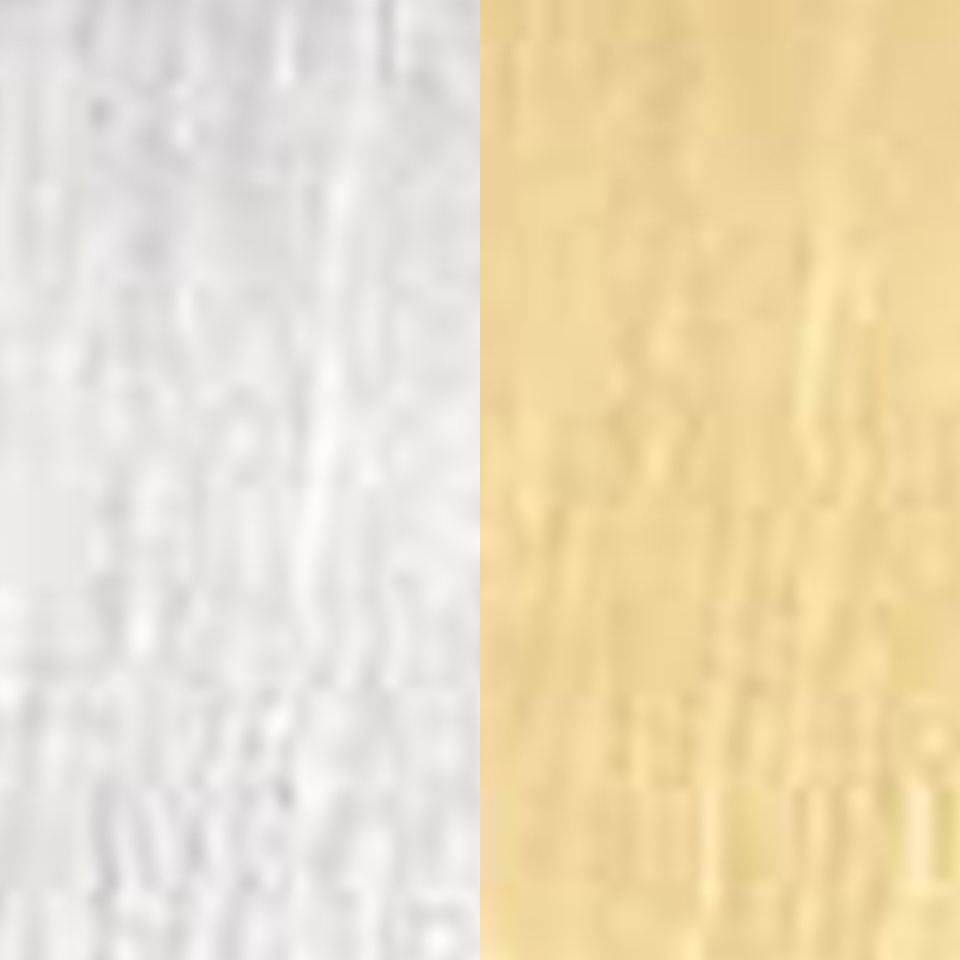 Two Tone Stainless Steel