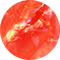 Papaya Iridescent Mother-of-Pearl
