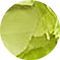 Peridot
