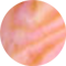 Light Pink Iridescent Abalone